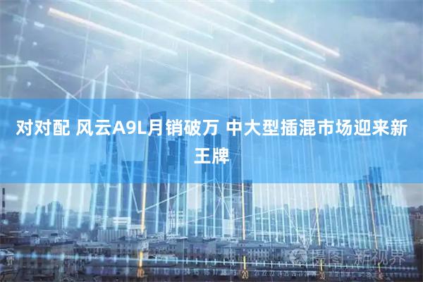 对对配 风云A9L月销破万 中大型插混市场迎来新王牌