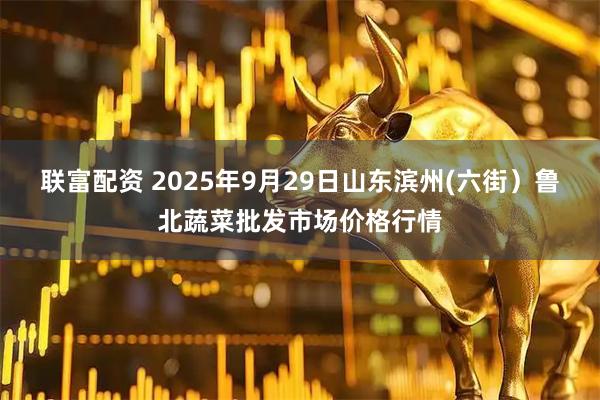 联富配资 2025年9月29日山东滨州(六街）鲁北蔬菜批发市场价格行情