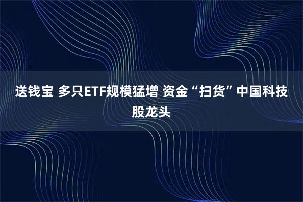 送钱宝 多只ETF规模猛增 资金“扫货”中国科技股龙头