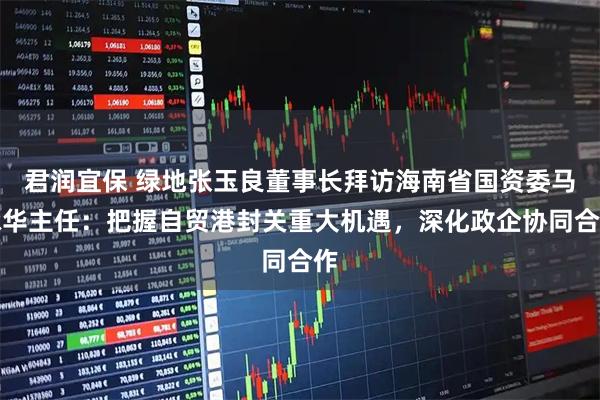 君润宜保 绿地张玉良董事长拜访海南省国资委马咏华主任：把握自贸港封关重大机遇，深化政企协同合作