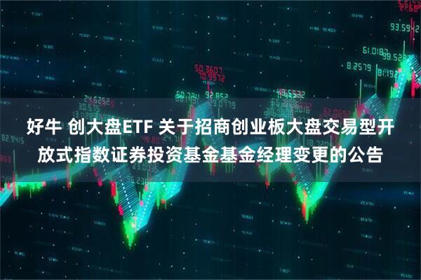 好牛 创大盘ETF 关于招商创业板大盘交易型开放式指数证券投资基金基金经理变更的公告