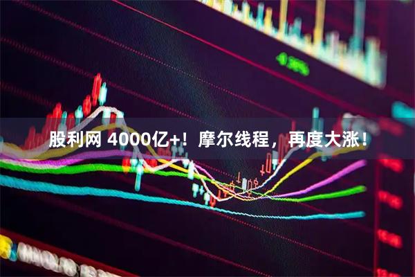 股利网 4000亿+！摩尔线程，再度大涨！