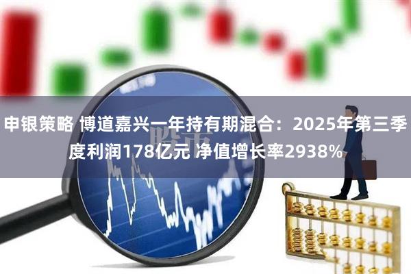 申银策略 博道嘉兴一年持有期混合：2025年第三季度利润178亿元 净值增长率2938%