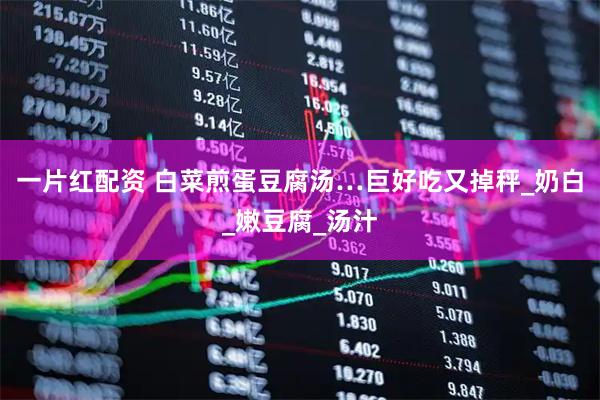 一片红配资 白菜煎蛋豆腐汤…巨好吃又掉秤_奶白_嫩豆腐_汤汁
