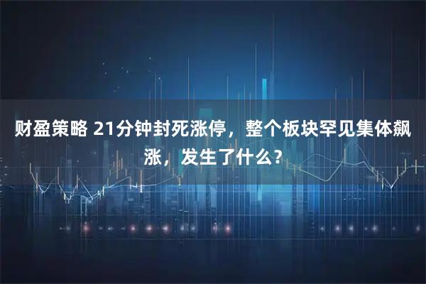 财盈策略 21分钟封死涨停，整个板块罕见集体飙涨，发生了什么？